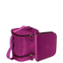 Kit  Lancheira Fitness 2 Compartimentos e Estojo Artistico - Roxo