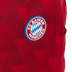 Mochila Grande Bayern X01 - Vermelho