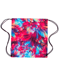 Mochila Saco Colorido - Penas